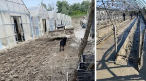 alluvione ronco emilia romagna