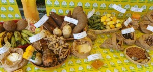 biodiversità contadina