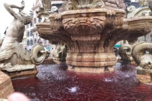 blitz animalista per gli orsi in Trentino