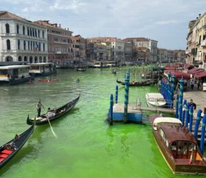 chiazza verde venezia