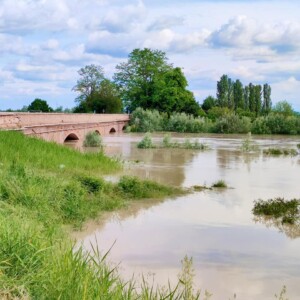 fiume secchia