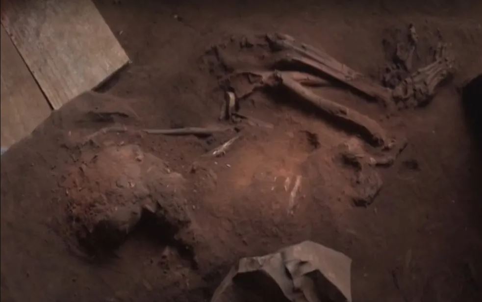 fossile umano brasile