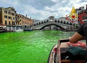 foto venezia laguna verde