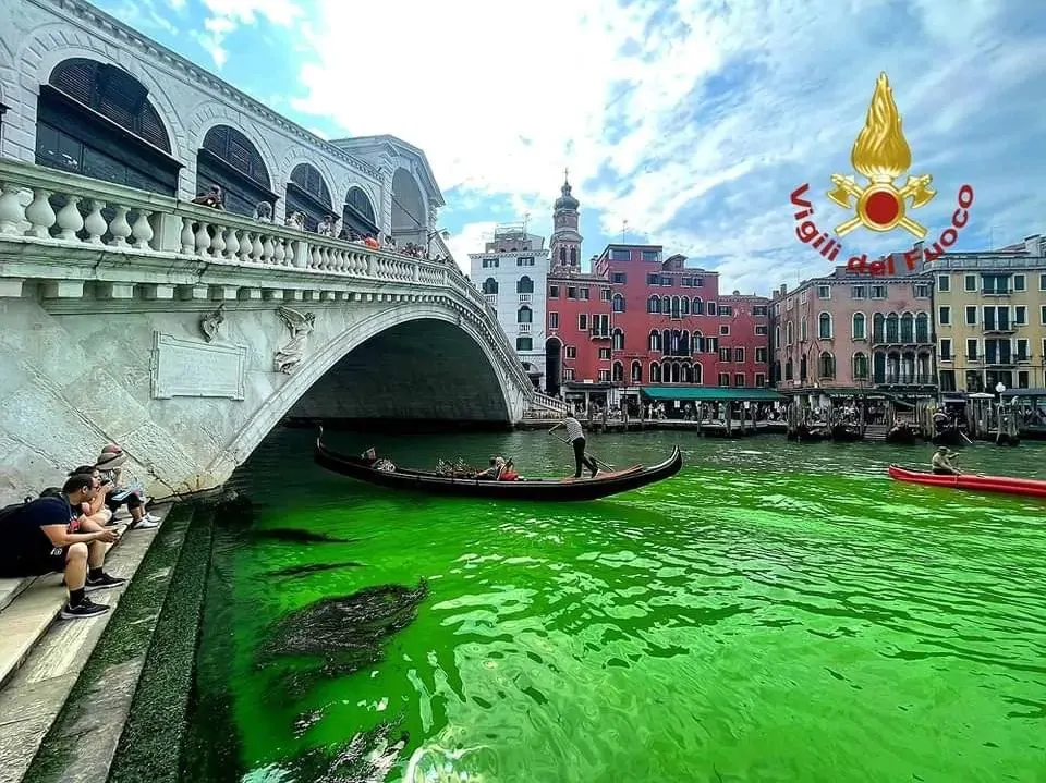 foto venezia laguna verde
