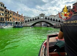 foto venezia laguna verde