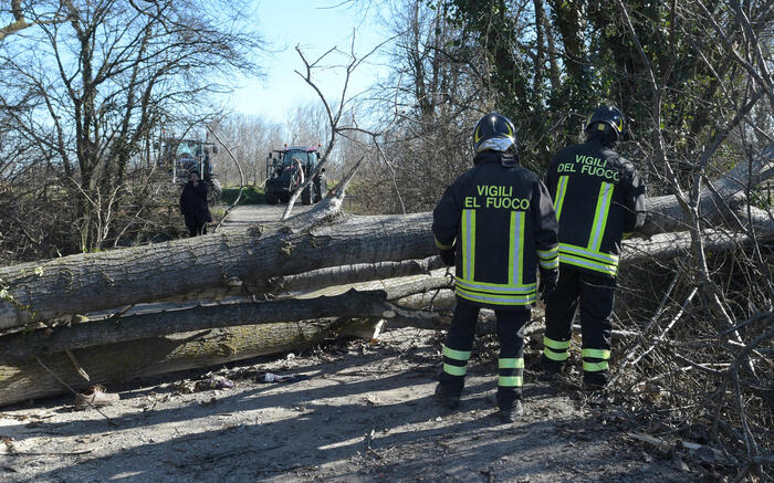Maltempo: agricoltore ferito da alberi caduti nel Milanese
