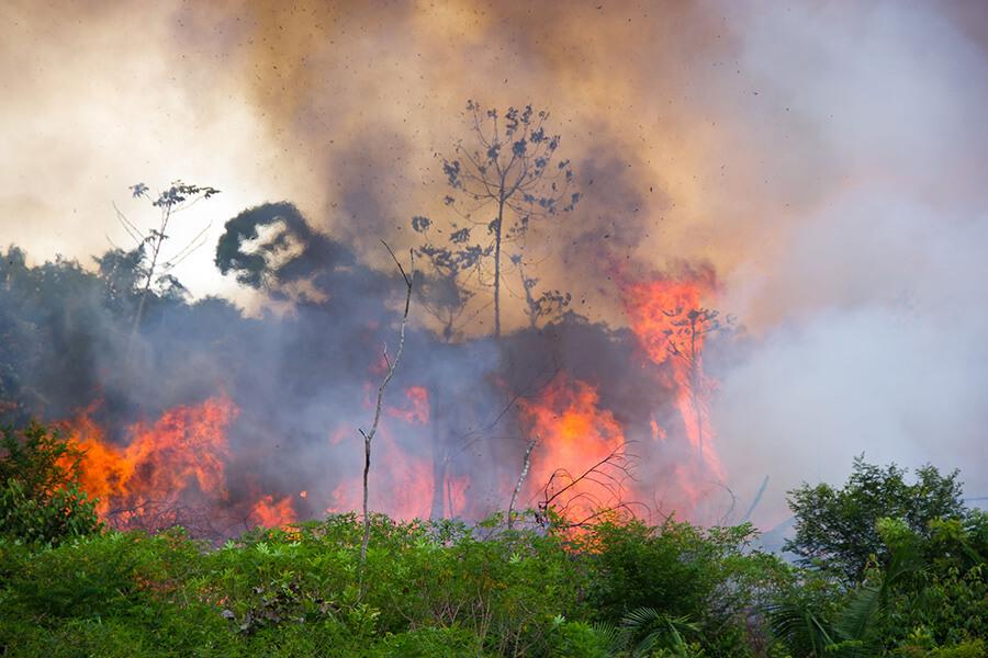 incendi Amazzonia