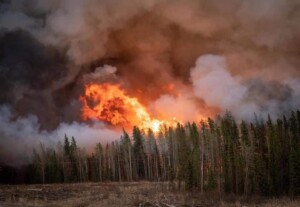 incendi alberta canada
