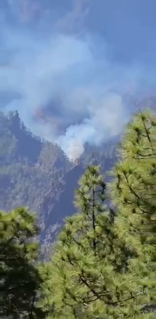 incendio canarie