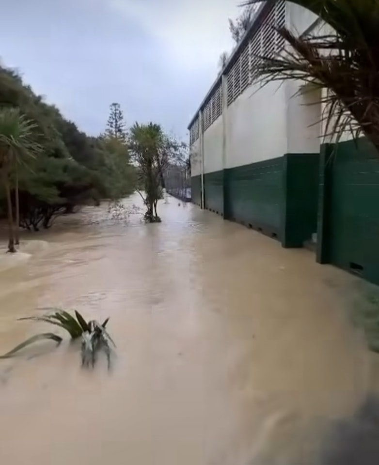 inondazioni auckland