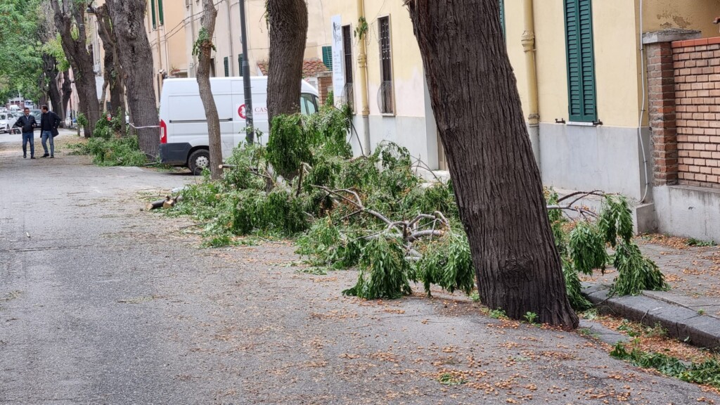 maltempo reggio calabria