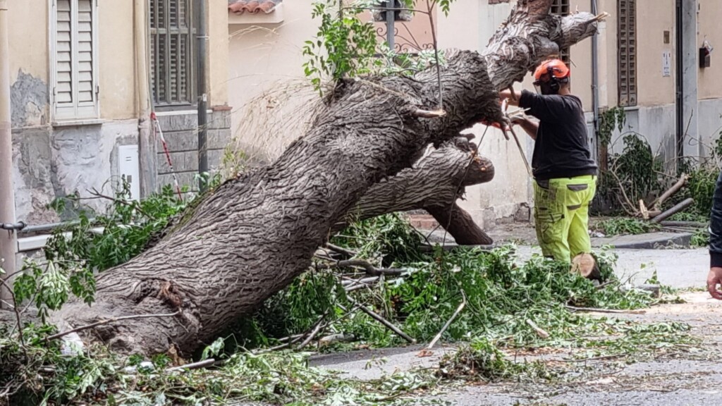 maltempo reggio calabria