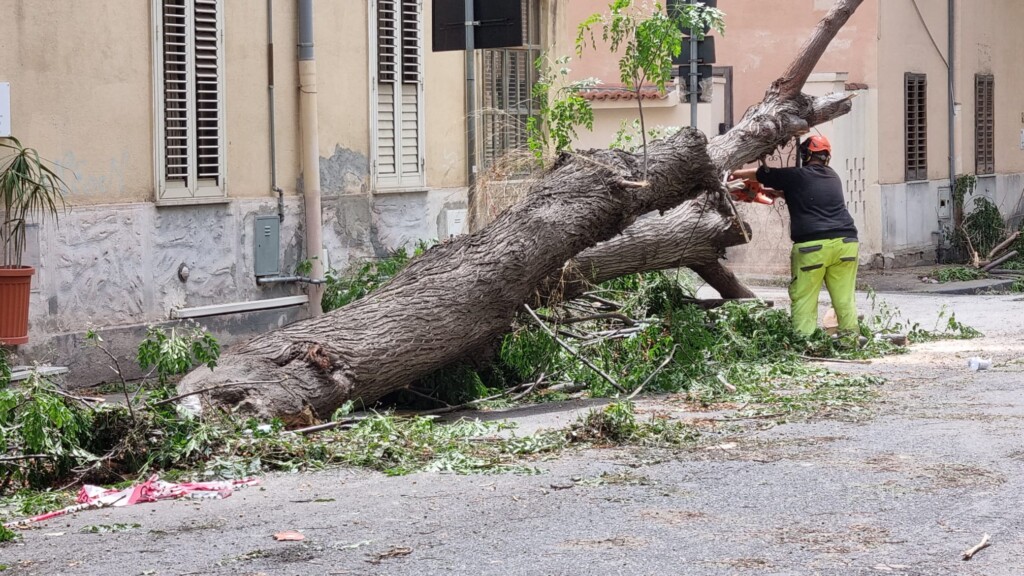 maltempo reggio calabria