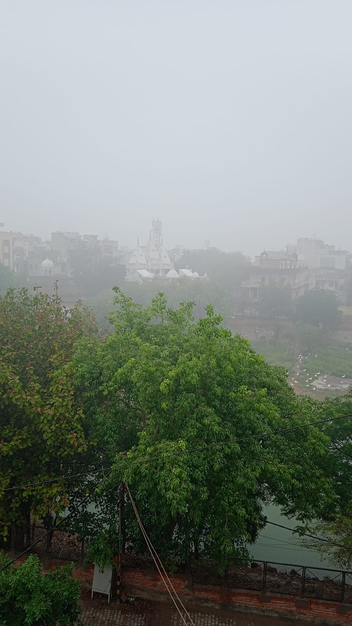 nebbia delhi 4 maggio 2023 (5)