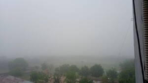 nebbia delhi 4 maggio 2023 (5)