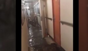 panico sulla nave da crociera Carnival Sunshine