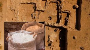 panificio di 3000 anni fa