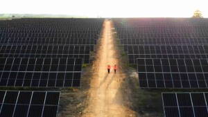 parco agrivoltaico sicilia