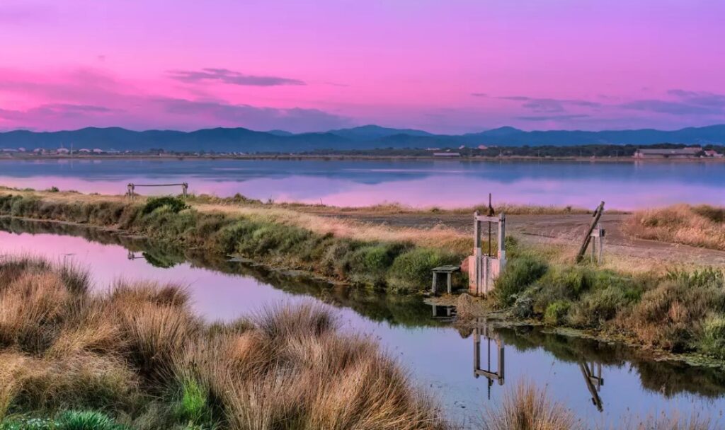 penisola di giens saline