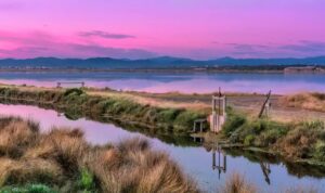 penisola di giens saline