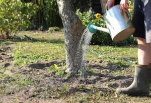 siccità in Catalogna e restrizioni dell'uso dell'acqua