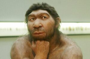 uomo neanderthal e genetica