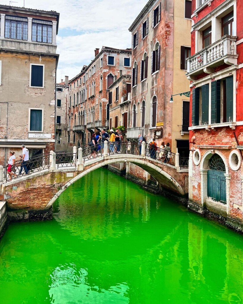 foto venezia laguna verde