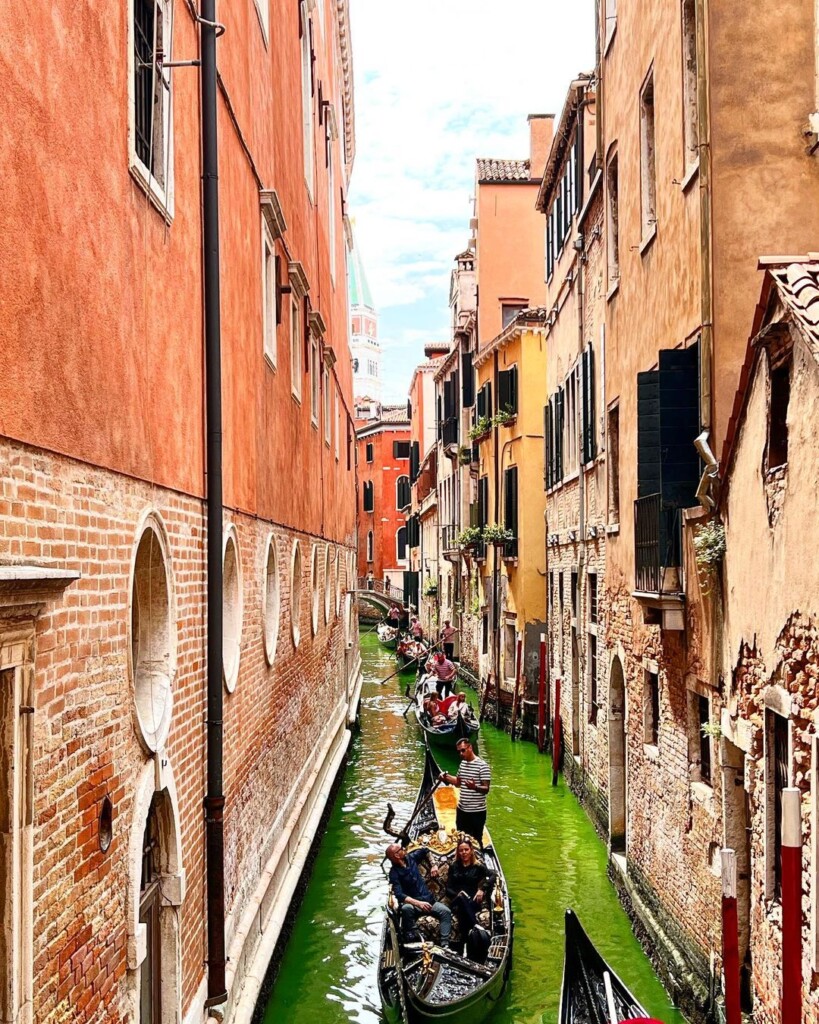 foto venezia laguna verde