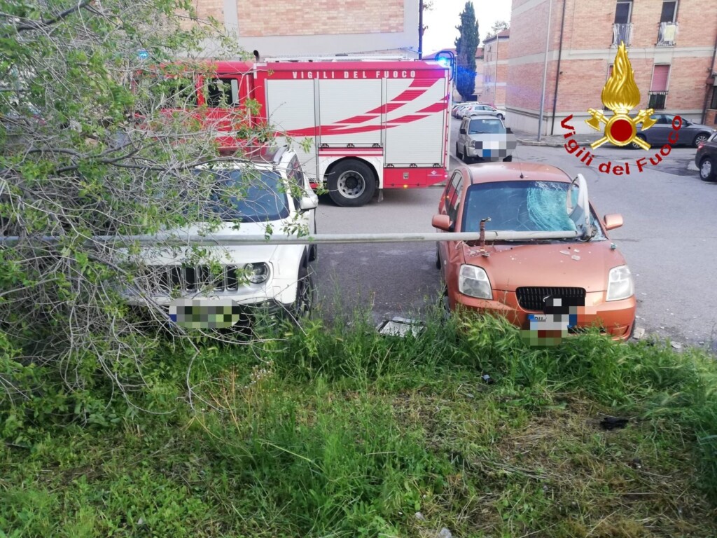 vento forte matera danni