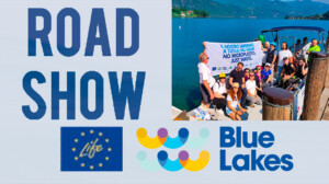 Life Blue Lakes