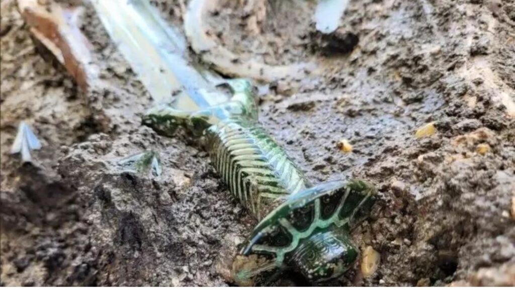 scoperta di una spada in una tomba