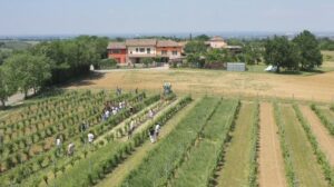 progetto Resil-Vigna per il vigneto del futuro
