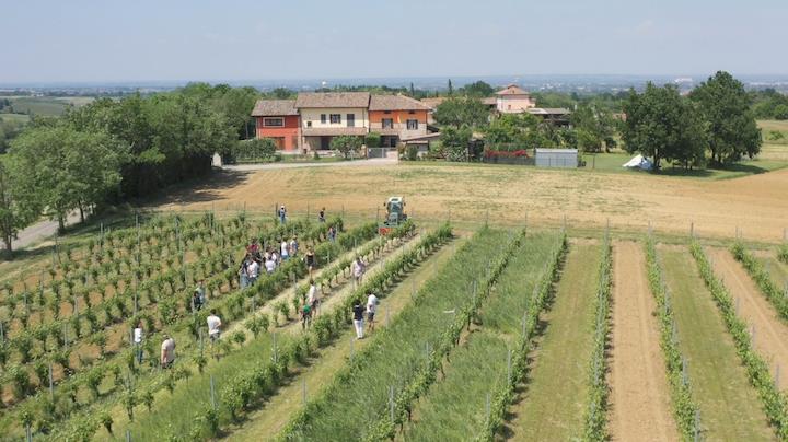 progetto Resil-Vigna per il vigneto del futuro