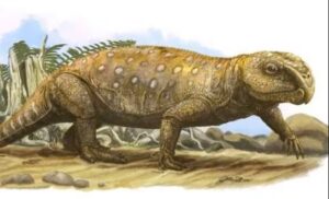 triassico rincosauro rettile