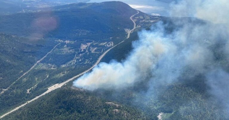 il fumo degli incendi boschivi in Canada ha raggiunto la Norvegia