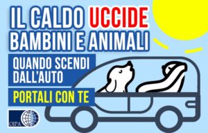 Lasciare in auto gli animali è un reato