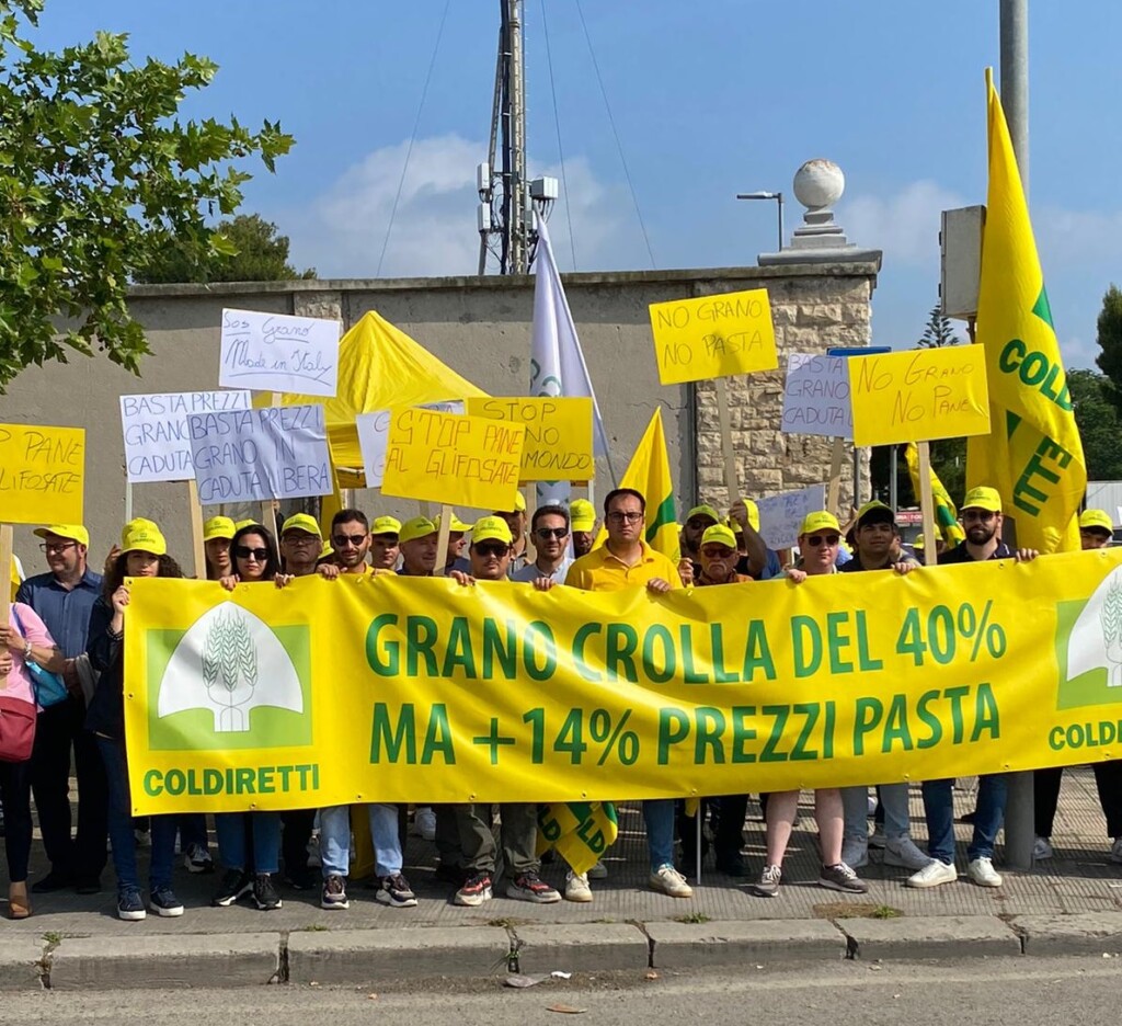 grano