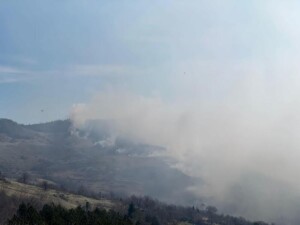 incendio bosco