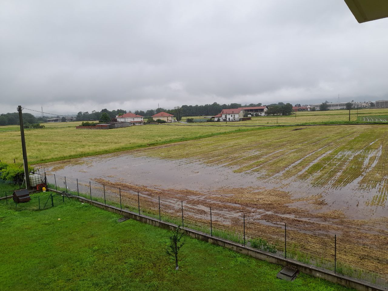 maltempo pioggia piemonte