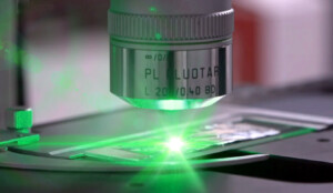 microscopio campioni microrganismi