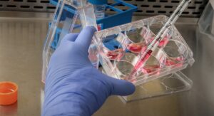 creata per la prima volta una molecola sintetica