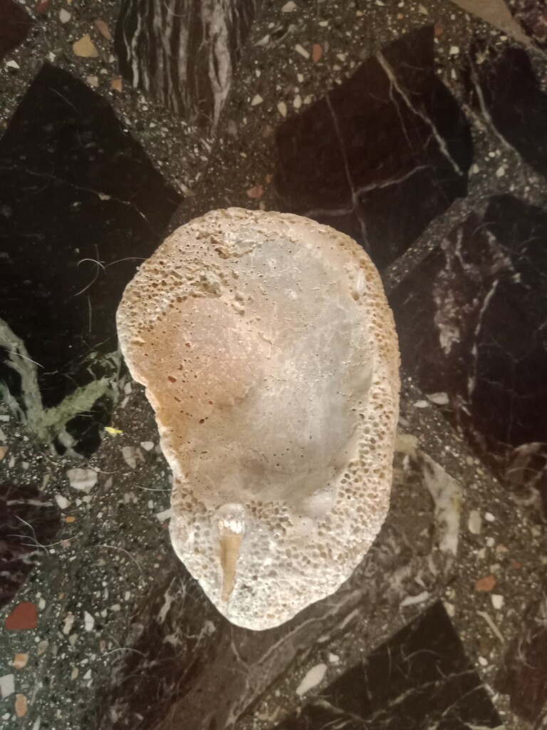 oggetto ritrovato spiaggia giampilieri