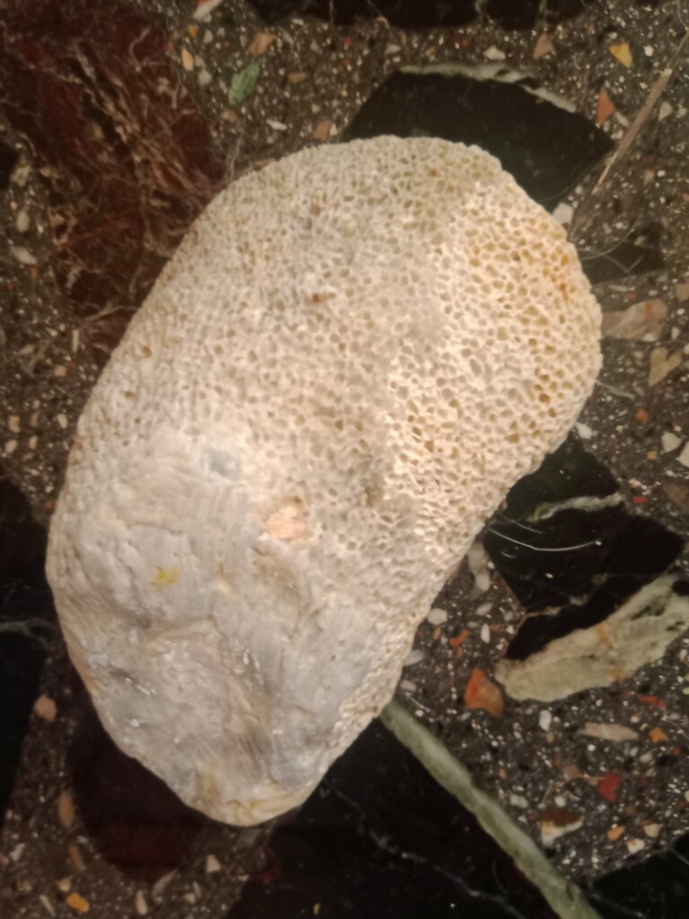 oggetto ritrovato spiaggia giampilieri