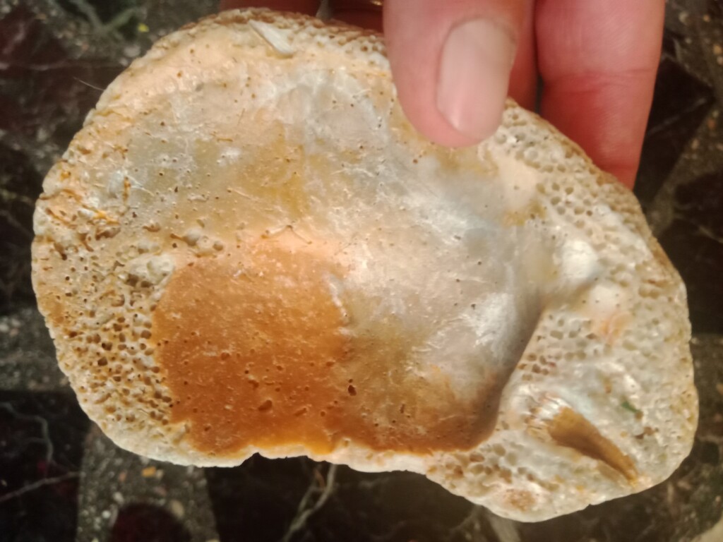 oggetto ritrovato spiaggia giampilieri