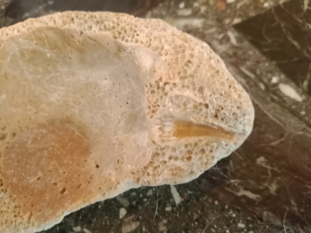 oggetto ritrovato spiaggia giampilieri