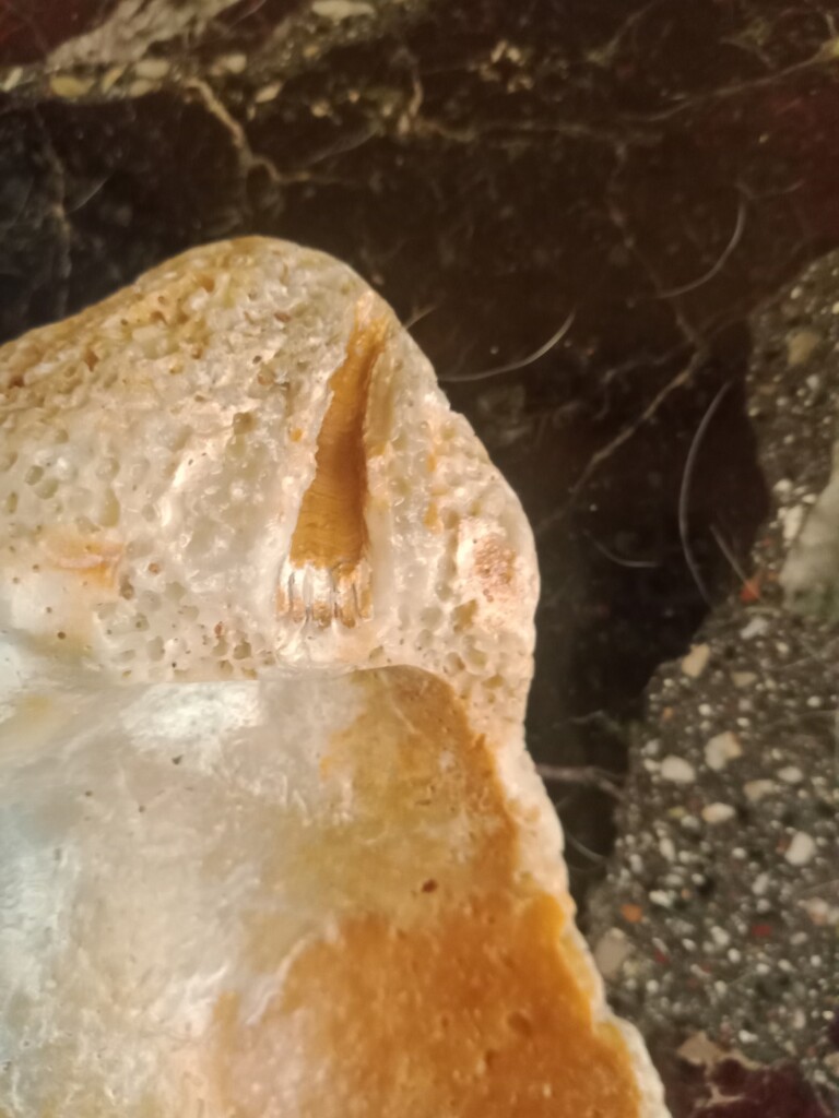 oggetto ritrovato spiaggia giampilieri