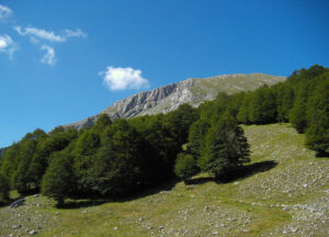 parco-verde