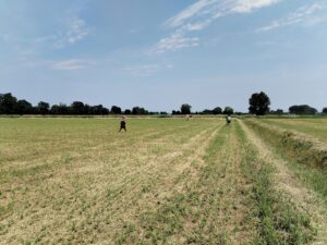 ricerca dei meteoriti