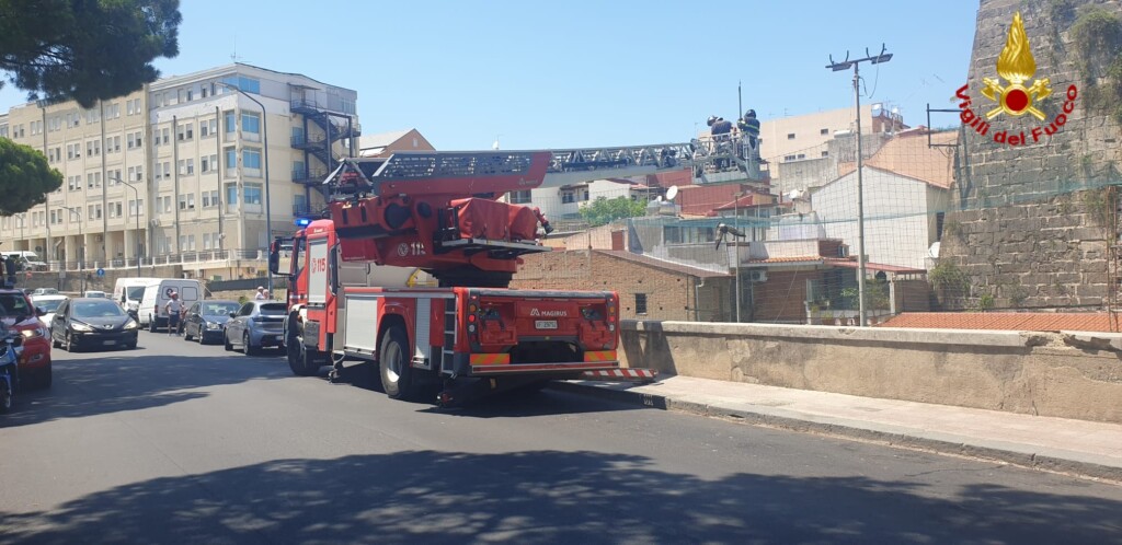 salvataggio gabbiano messina