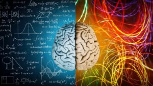 cervello e stress cronico spina dorsale